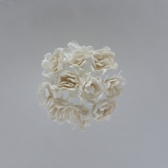 Chrysanthemum vita 10 st - ScrapBerry