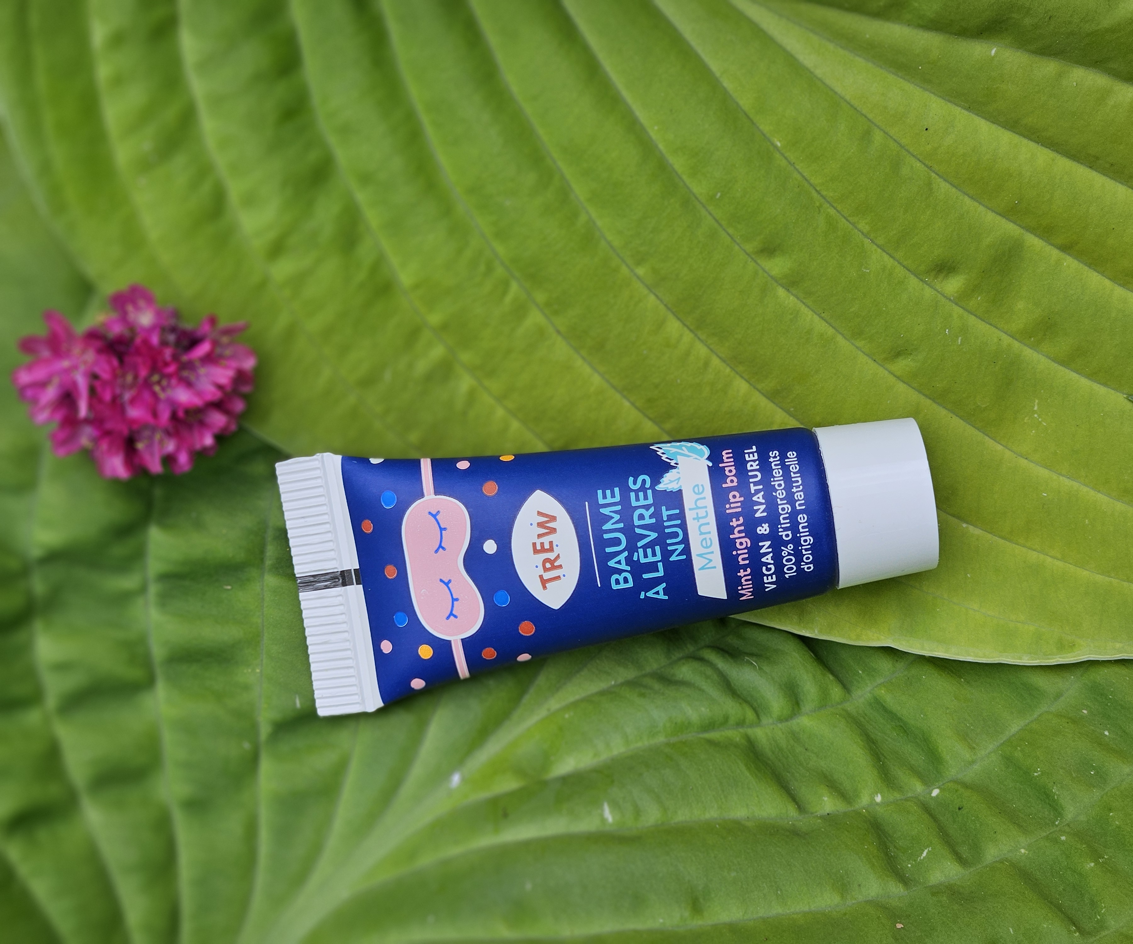 TREW Mint night lip balm Menthe