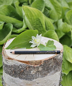 Eyeliner Perfect Black 01 - Eco by Sonya