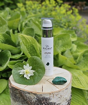Hydra lagoon Overnight mask 50ml - M PICAUT