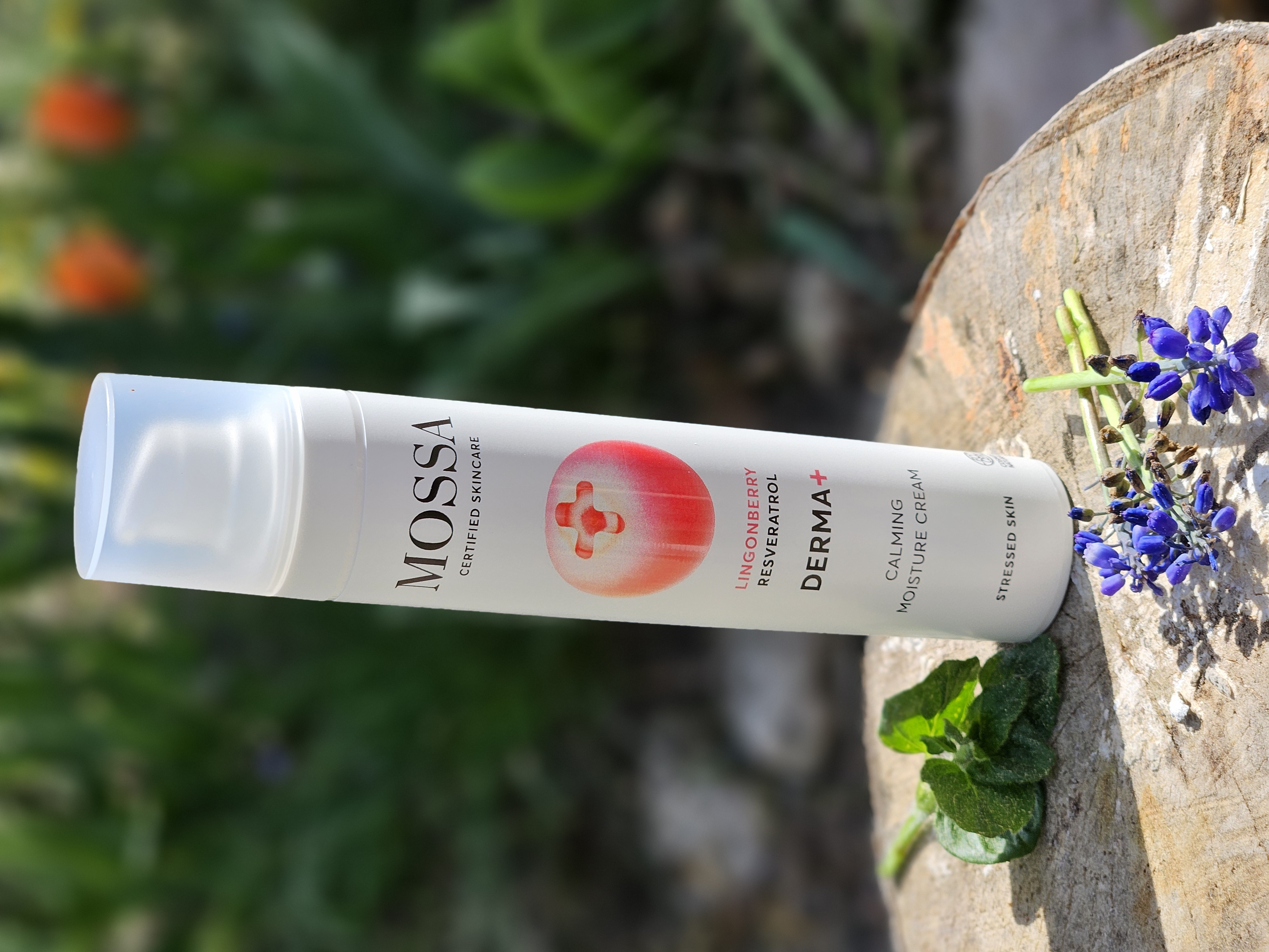Derma+ - Moisture Cream 50 ml - Mossa