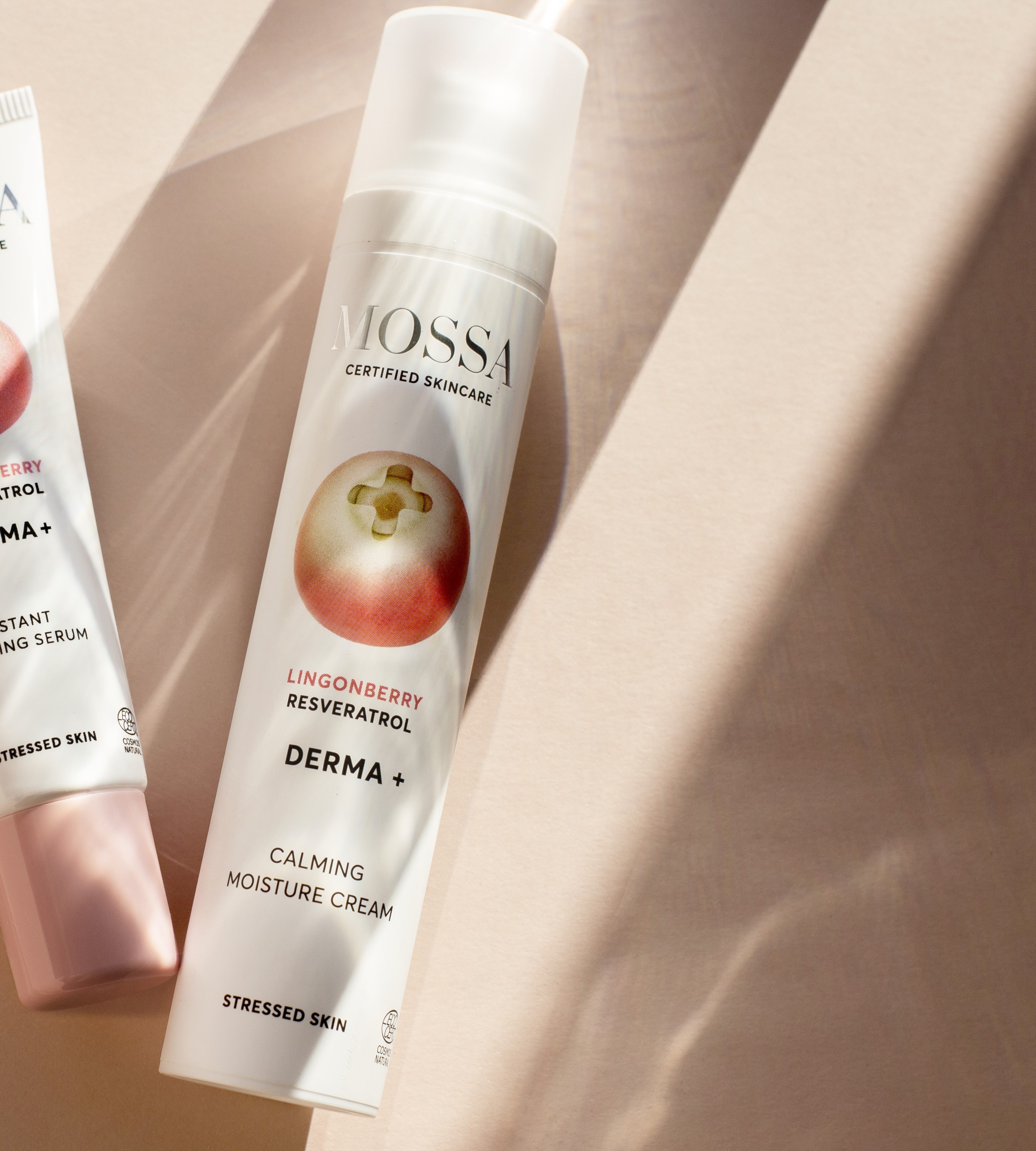 Derma+ - Moisture Cream 50 ml - Mossa - 3