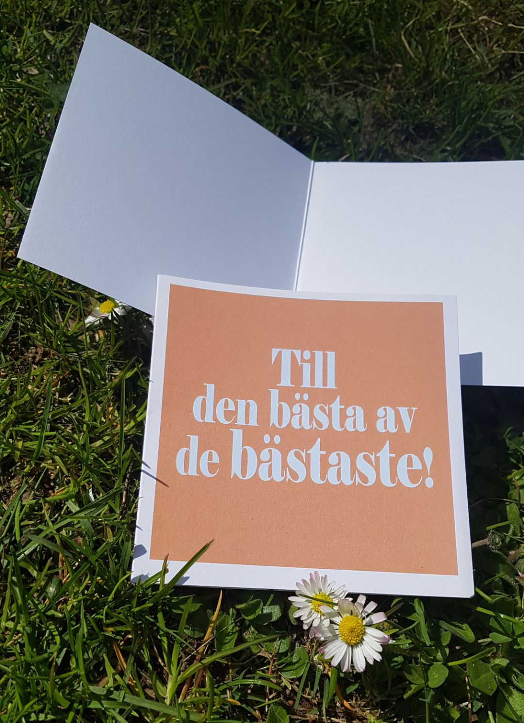 Kvadratiskt  dubbelt kort -QLkort Bästa av bästaste - 2