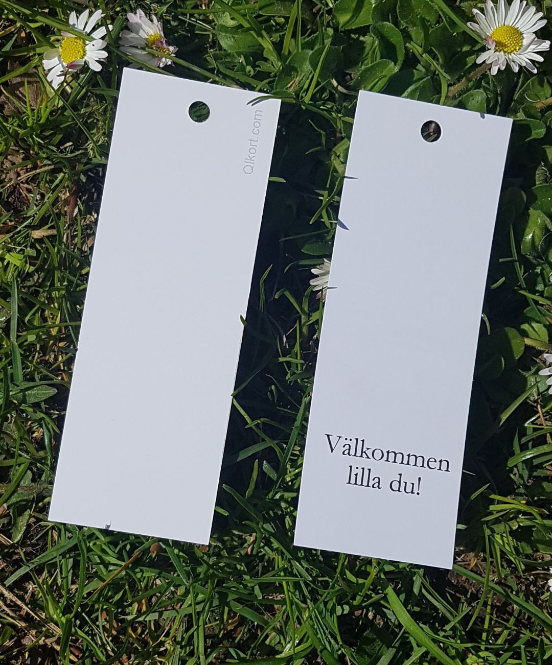Avlångt enkelt kort -QLkort Välkommen lilla du