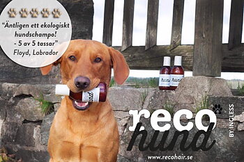 Hundschampo - Reco Hair 
