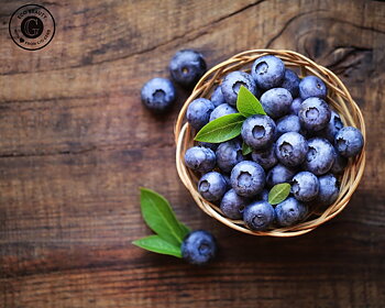 Blueberry schampoo  - c/o Gerd