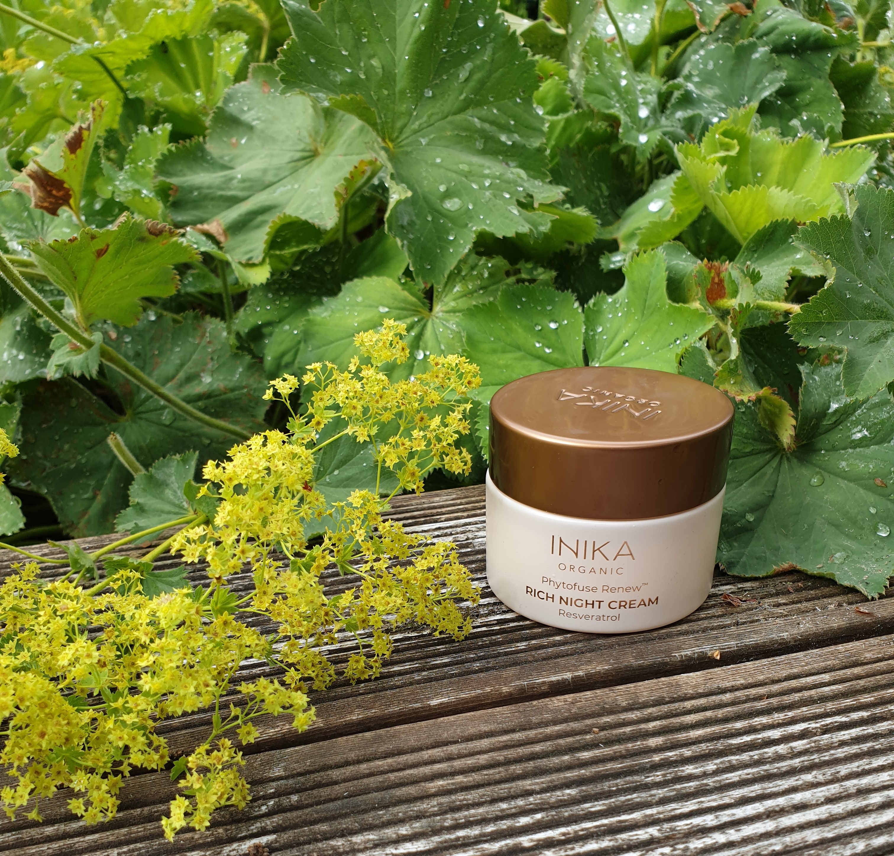 Phytofuse Renew™ Rich Night Cream - INIKA Rek utpris  829kr - 3