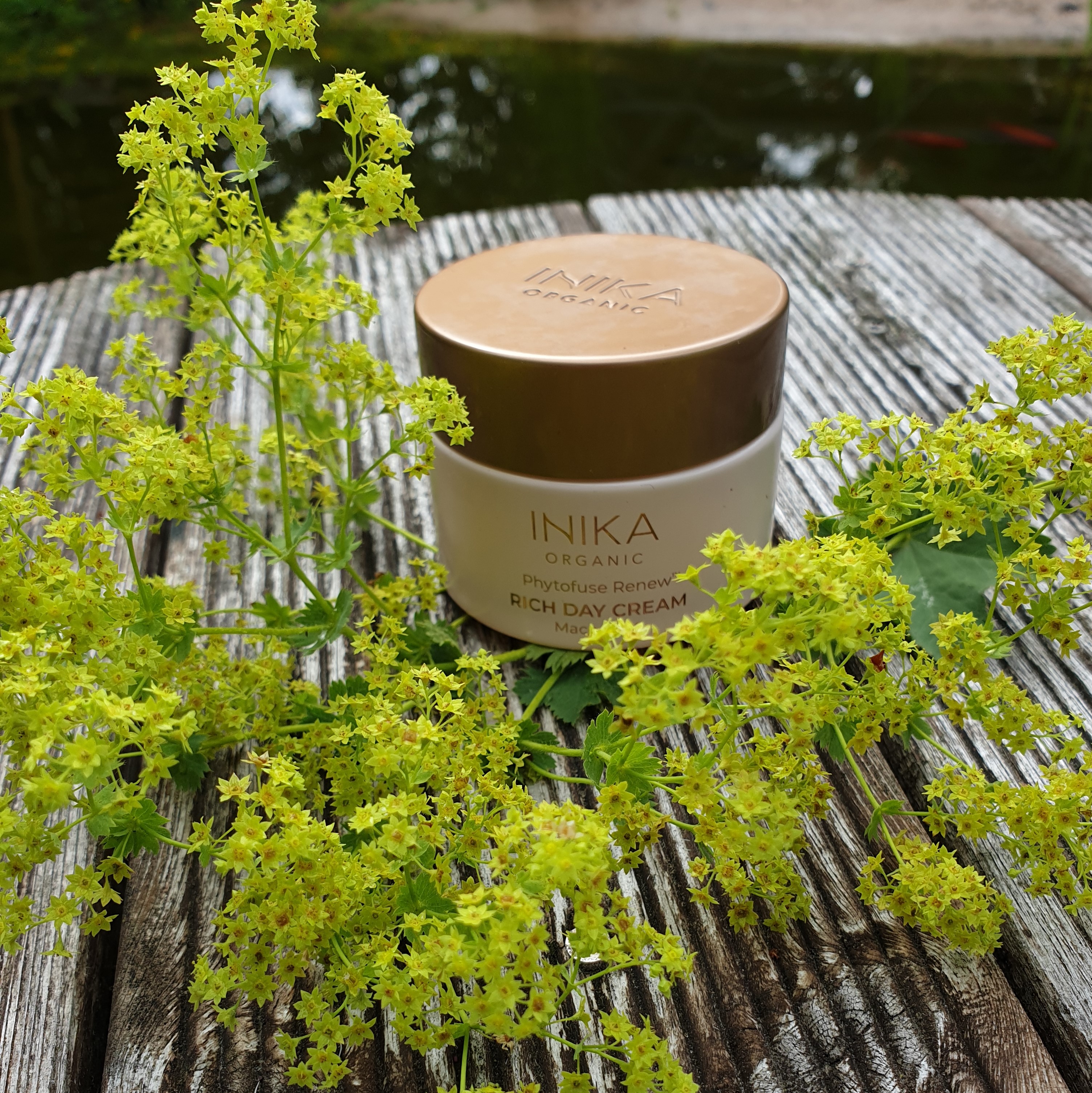 Phytofuse Renew™ Rich Day Cream - INIKA Rek utpris 729kr - 3