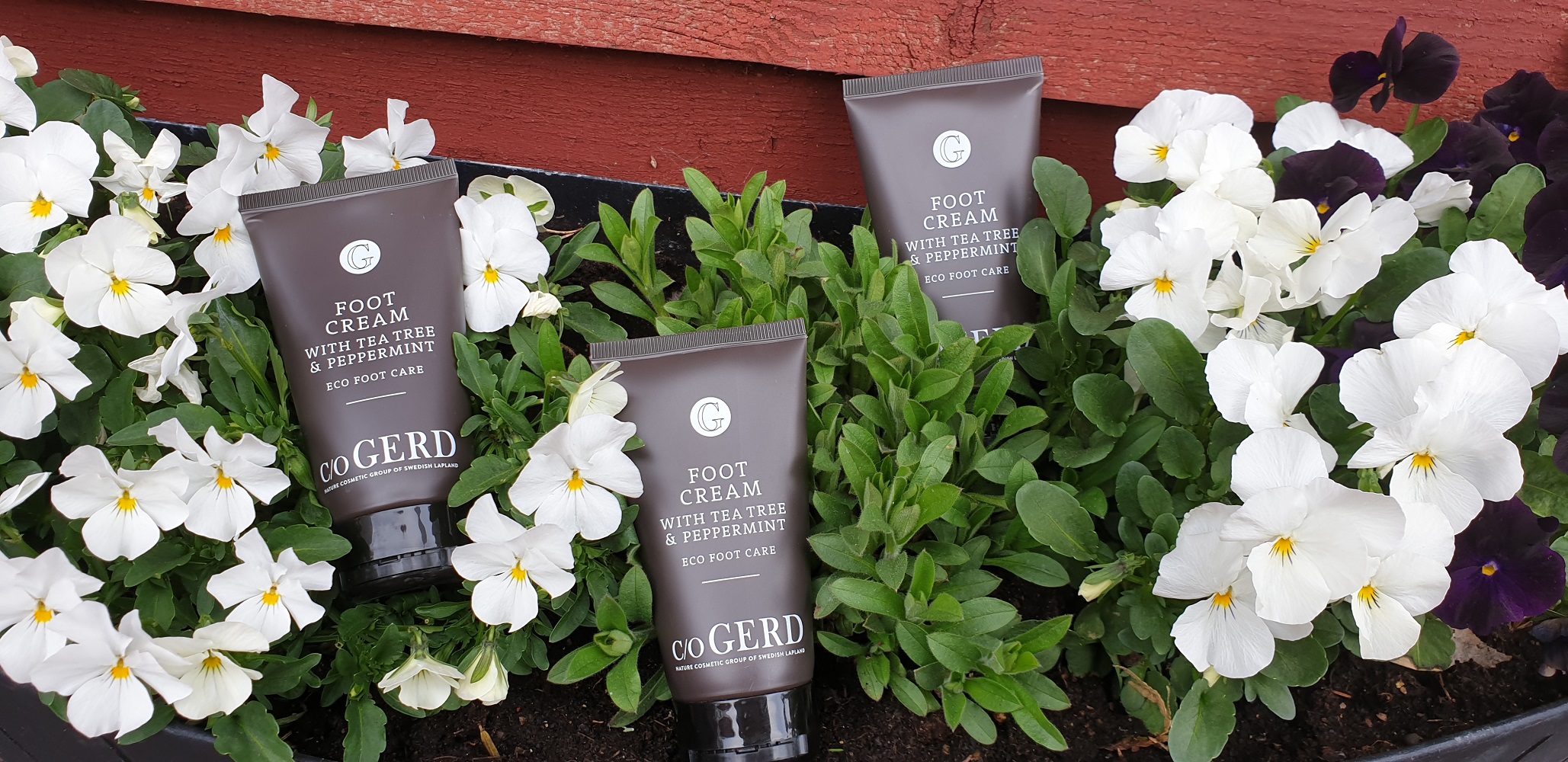 Foot cream Tea tree Peppermint - c/o Gerd - 4