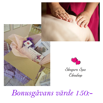 Bonusgåva 3000 poäng - Värdecheck på Skogsro Spa 150:-
