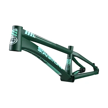 Stay Strong 2023 For Life V4 Disc Frame Green - Junior
