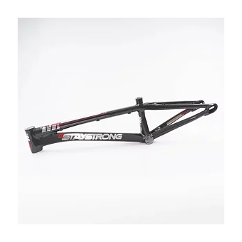 Stay Strong 2023 For Life V4 Disc Frame Grey - Expert