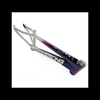 Stay Strong V5 2024 Disc Only Frame Chameleon/Silver - Cruiser