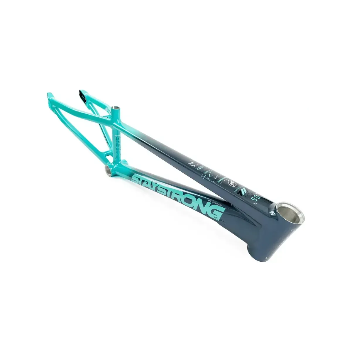 Stay Strong V5 2024 Disc Only Frame Charcoal/Mint - Pro XXXL