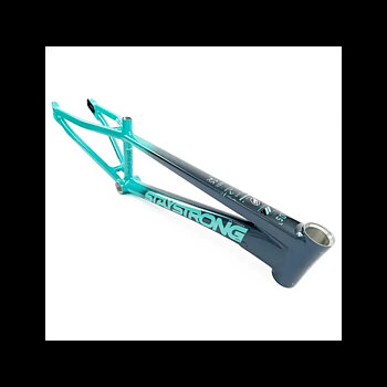 Stay Strong V5 2024 Disc Only Frame Charcoal/Mint - Pro XXXL