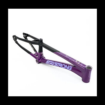 Stay Strong V5 Disc Only Frame 2025 Purple/Black - Expert