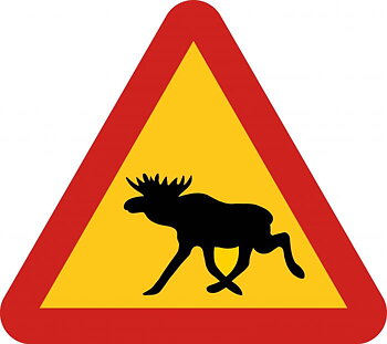 Dekal: Varning för älg