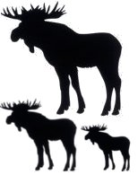Dekal: Stående älg