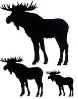 Dekal: Stående älg