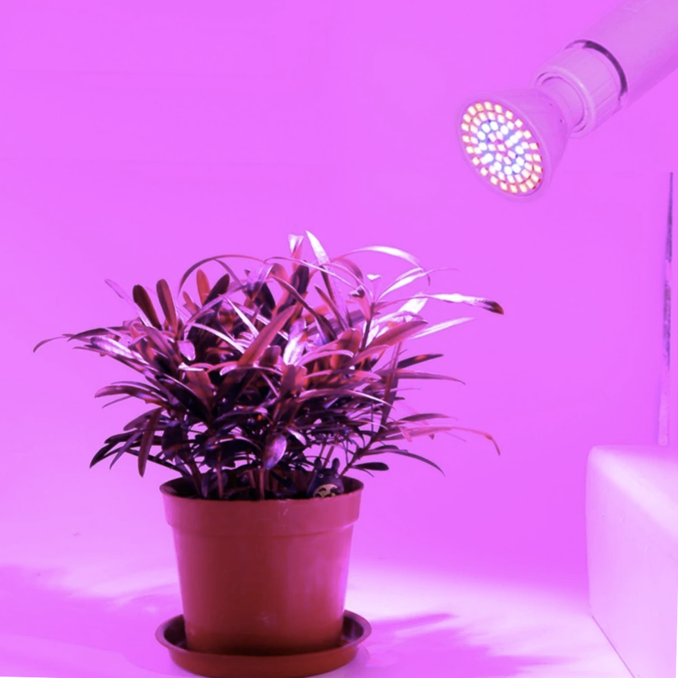 Växtlampa med 80 LED - 2