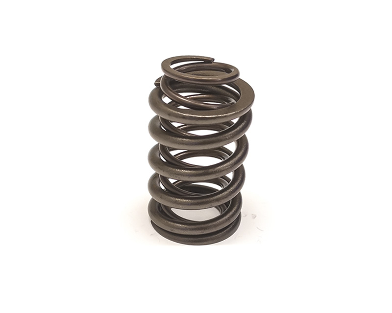 Dual valvespring kit B19 B21 B23 B230 (Less clamping pressure) - 2
