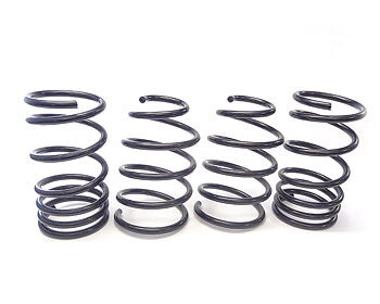 Sport springs V70N