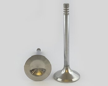 Valve Exhaust B5252FS