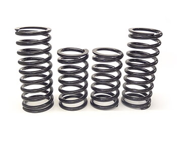 Sport springs Amazon wagon 