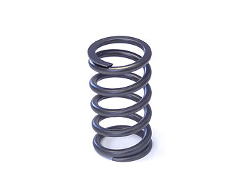 Valve spring Outer