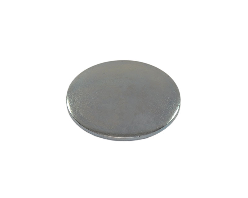 Plug cam bearing