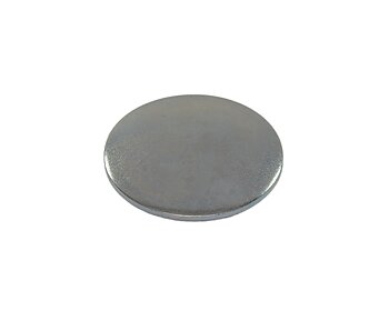 Plug cam bearing