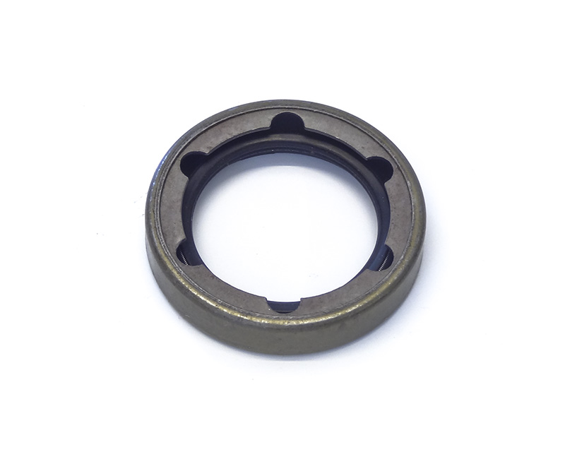 Seal  for input shaft