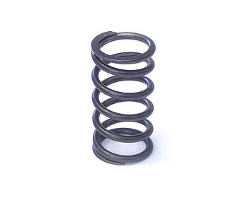 Valve spring Inner