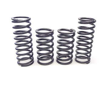 Sport springs Amazon/P1800 1957-70 linear