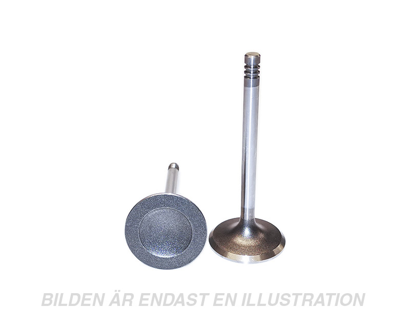 Valve 44mm Intake B19/21/23/230 (Alternative)