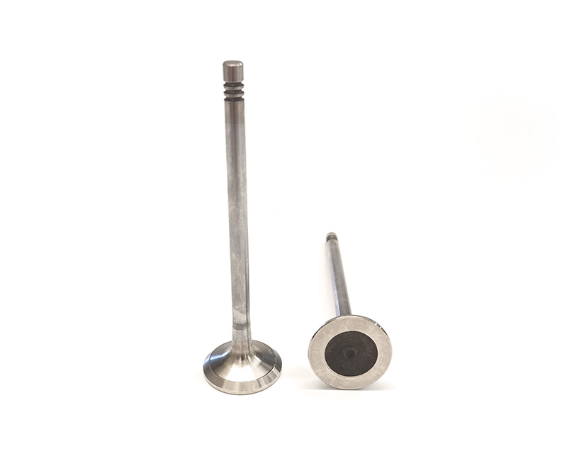 Valve Exhaust Standard 20V/24V