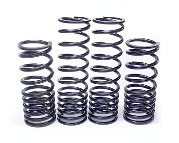 Lowering springs