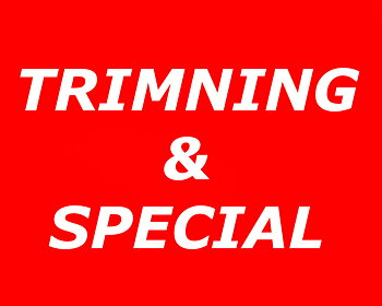 TUNING & SPECIAL