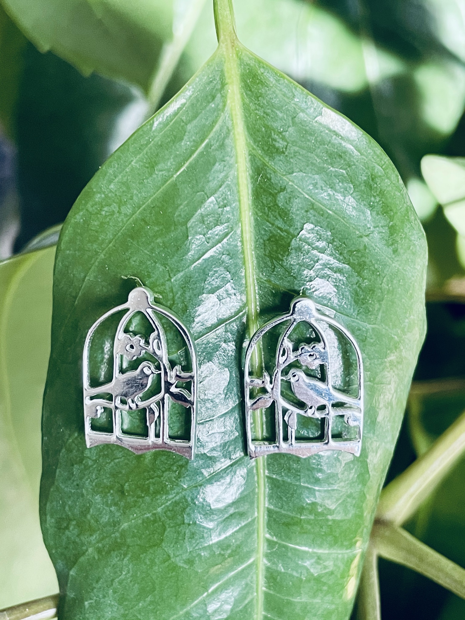 Örhängen med fåglar - 2