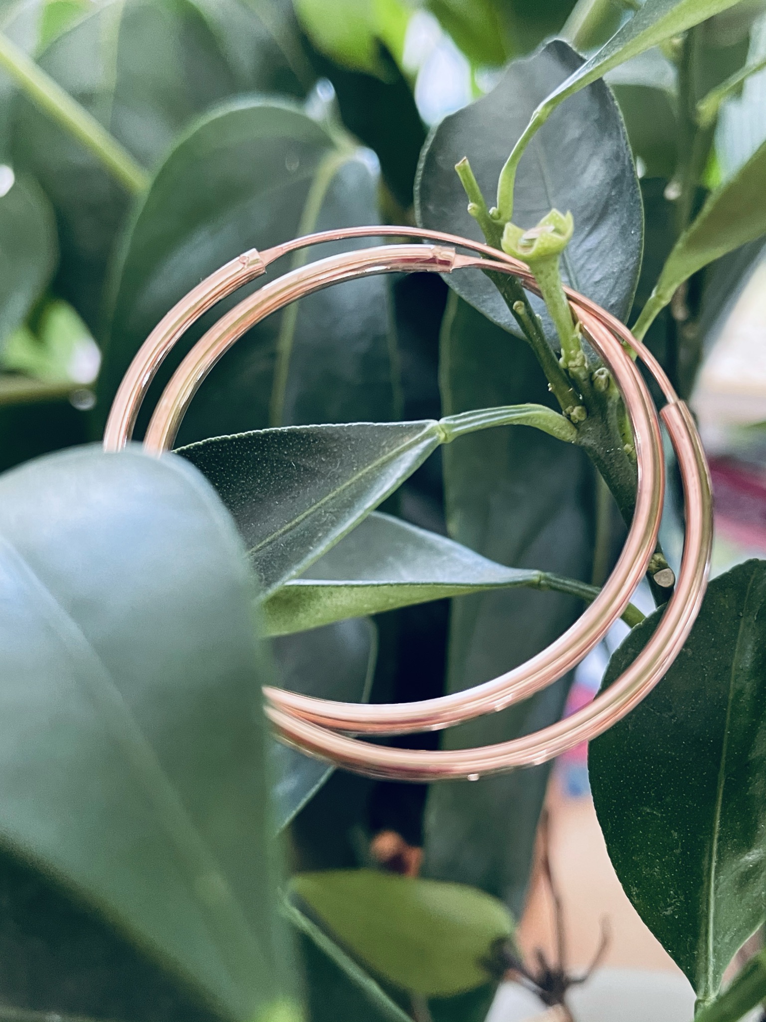Örhängen rosa guld ringar - 2