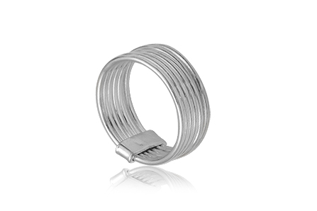 Silverring