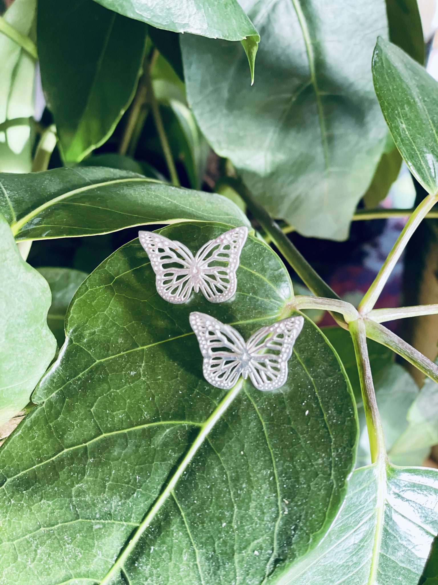 Örhängen madam Butterfly