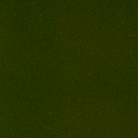 CAB (Ready to Go) Opaque Dark Olive 50ml 962