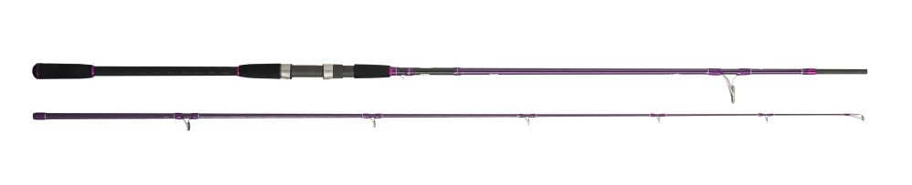 Cinnetic 8509 Explorer Black Purple Sea Bass 300 10' 20-80g