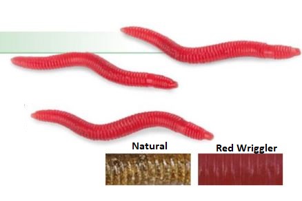 Trabucco Slurp Earthworms