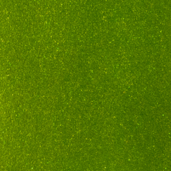 CAB (Ready to Go) Pearlescent Olive 50ml 976