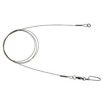 Blind Trolling Leader 17kg 30cm 2st BLD-P1001