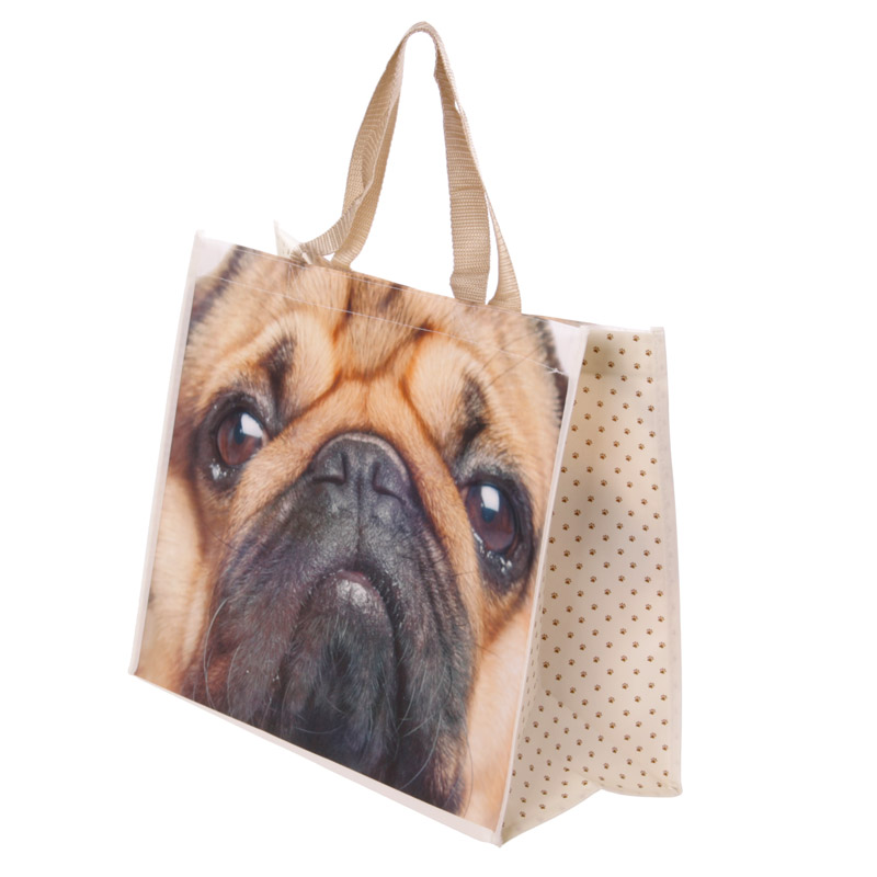 Shoppingbag mops
