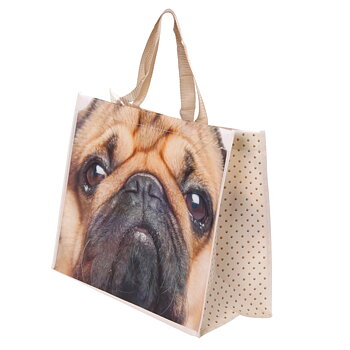 Shoppingbag mops