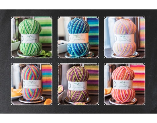 Sockgarner signature 4-ply